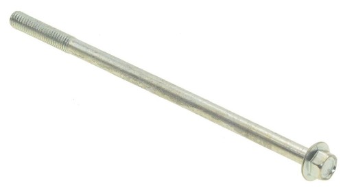gen499_1.jpg