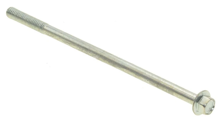 gen499_1.jpg