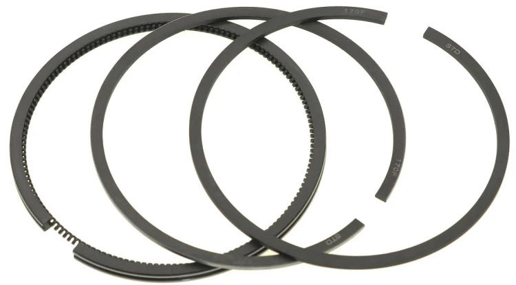 gen1606_1.jpg