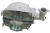 kos439_4.jpg